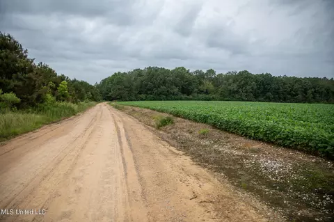 Russum Road, Forest, MS 39074 photo 3