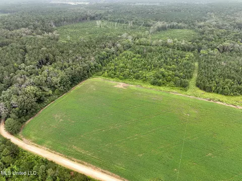 Russum Road, Forest, MS 39074 photo 10