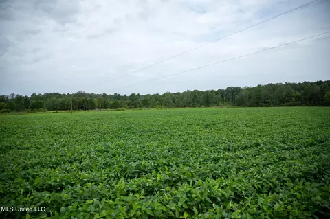 Russum Road, Forest, MS 39074 photo 17