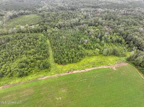 Russum Road, Forest, MS 39074 photo 9