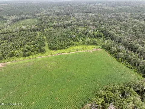Russum Road, Forest, MS 39074 photo 12