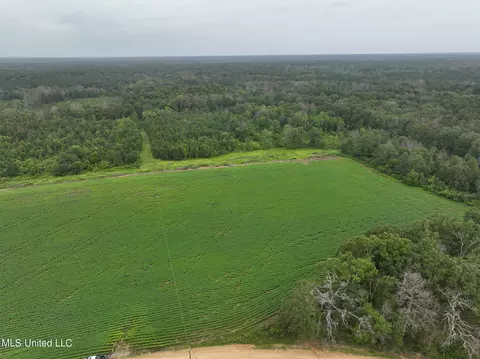 Russum Road, Forest, MS 39074 photo 13