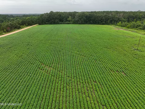 Russum Road, Forest, MS 39074