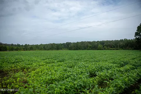 Russum Road, Forest, MS 39074 photo 21