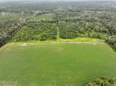 Russum Road, Forest, MS 39074 photo 11