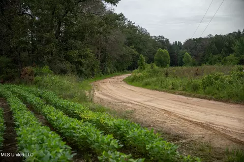 Russum Road, Forest, MS 39074 photo 4