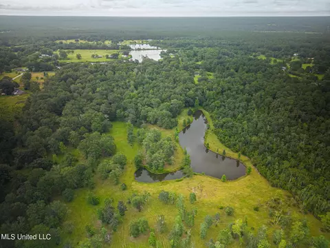 View/Area - 23355 Mitchell Rd, Picayune, MS 39466 photo 2 of 3