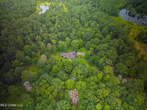 Other - 23355 Mitchell Rd, Picayune, MS 39466 photo 2 of 9