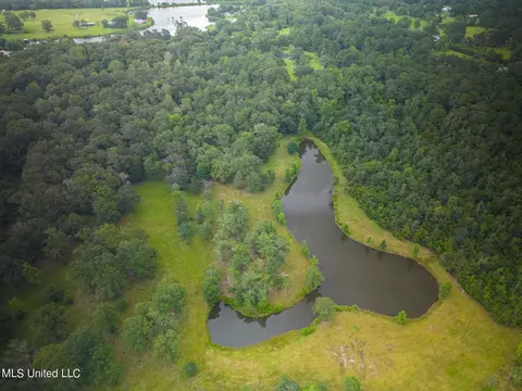 View/Area - 23355 Mitchell Rd, Picayune, MS 39466 photo 3 of 3