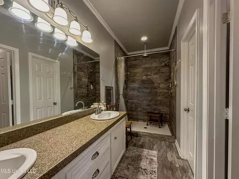 Bath - 1165 Green Gable Pl, Terry, MS 39170 photo 2 of 4
