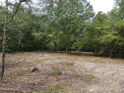 6 8acres Wilford Ladner Rd, Lumberton, MS 39455
