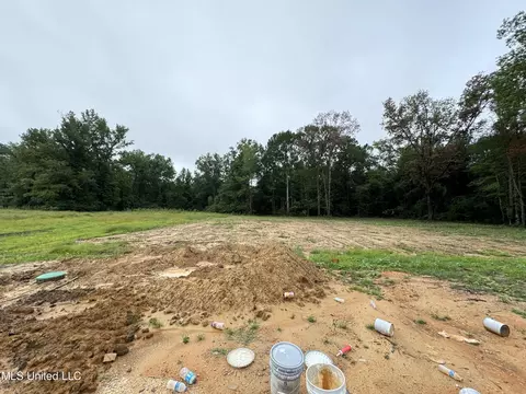 1037 Mullican Rd, Florence, MS 39073 photo 21