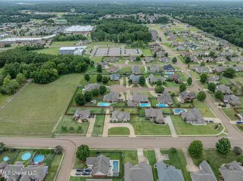 View/Area - 1296 Holly Springs Rd, Hernando, MS 38632 photo 4 of 5