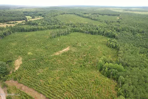 County Road 481, Paris, MS 38949 photo 4