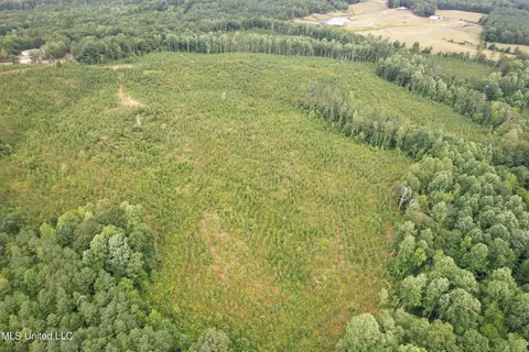 County Road 481, Paris, MS 38949 photo 3