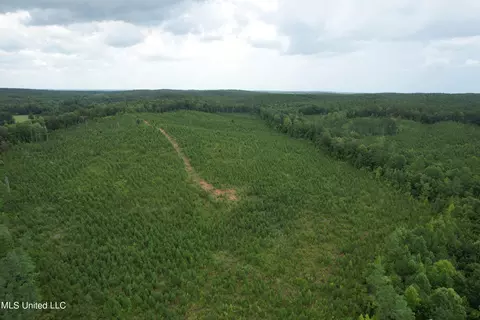 County Road 481, Paris, MS 38949