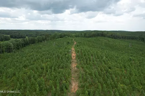 County Road 428, Paris, MS 38949 photo 3