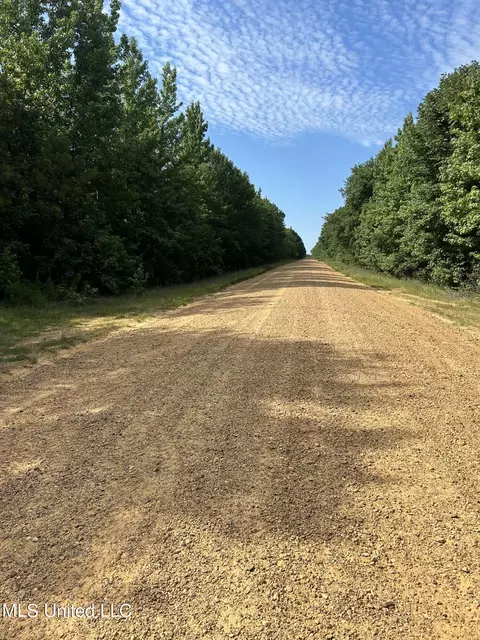 West Boulevard, West, MS 39192 photo 6