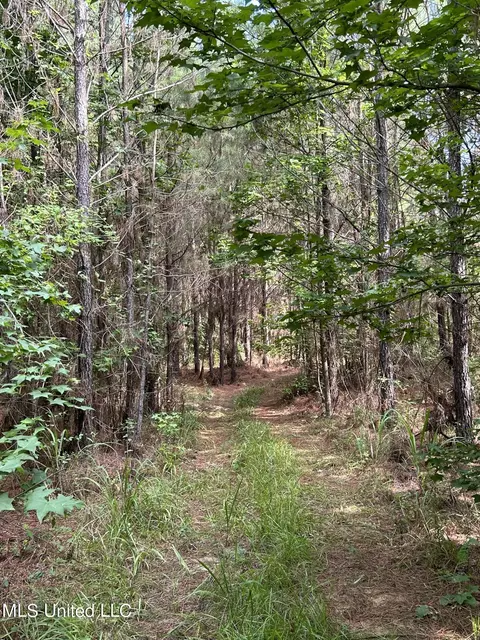 West Boulevard, West, MS 39192 photo 5