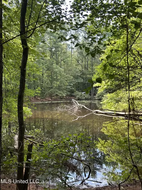 West Boulevard, West, MS 39192 photo 4