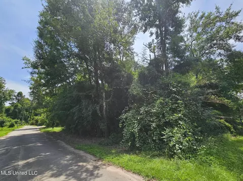 Turps Drive, Lucedale, MS 39452 photo 6