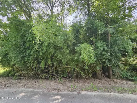 Turps Drive, Lucedale, MS 39452 photo 5