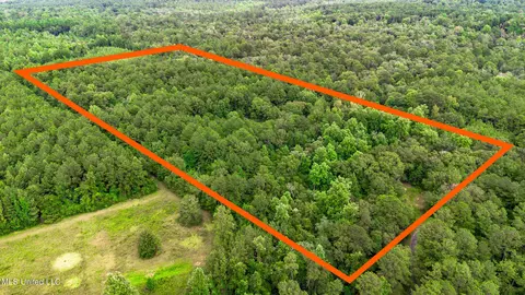 85 Otis Ladner Rd, Lumberton, MS 39455