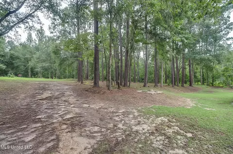170 E Bond Rd, Wiggins, MS 39577 photo 25