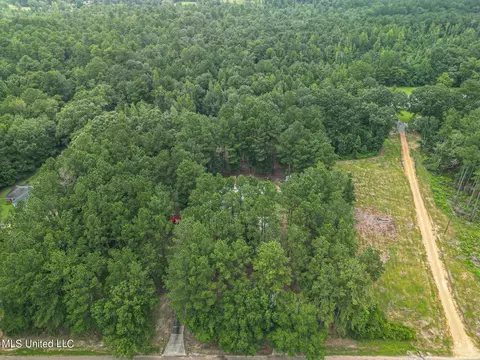 170 E Bond Rd, Wiggins, MS 39577 photo 21