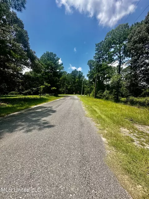 Emmanuel Drive, Lucedale, MS 39452 photo 6