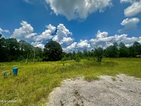 Emmanuel Drive, Lucedale, MS 39452 photo 2