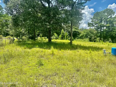 Emmanuel Drive, Lucedale, MS 39452 photo 4