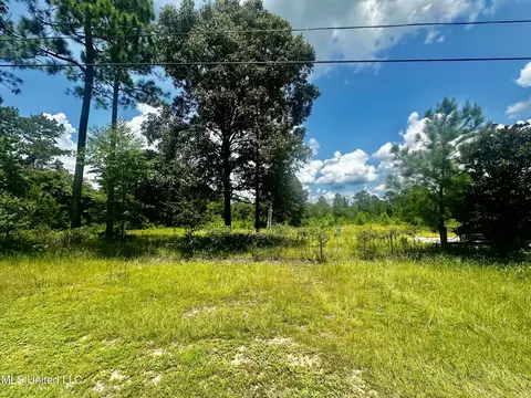 Emmanuel Drive, Lucedale, MS 39452 photo 5