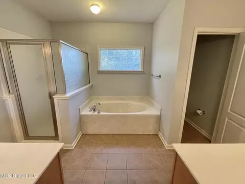 Bath - 762 Bending Oak N, Hernando, MS 38632 photo 1 of 4