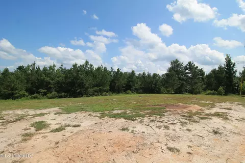 252 Sandford Ext Dr, Lucedale, MS 39452 photo 20