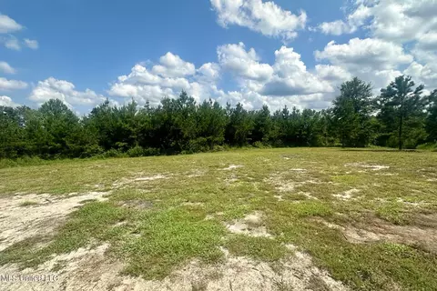 252 Sandford Ext Dr, Lucedale, MS 39452 photo 5