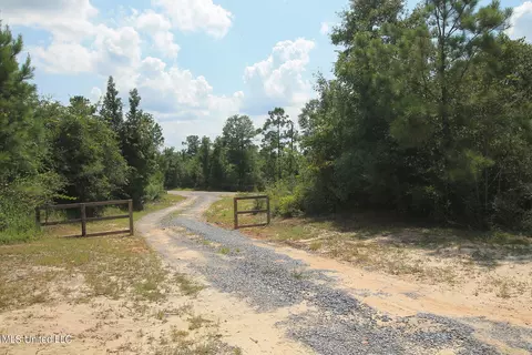 252 Sandford Ext Dr, Lucedale, MS 39452 photo 2