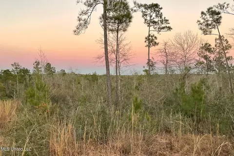 252 Sandford Ext Dr, Lucedale, MS 39452 photo 24