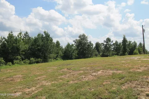 252 Sandford Ext Dr, Lucedale, MS 39452 photo 26