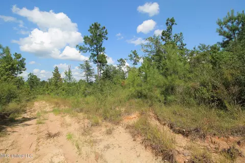 252 Sandford Ext Dr, Lucedale, MS 39452 photo 25