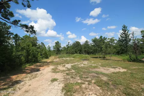 252 Sandford Ext Dr, Lucedale, MS 39452 photo 22