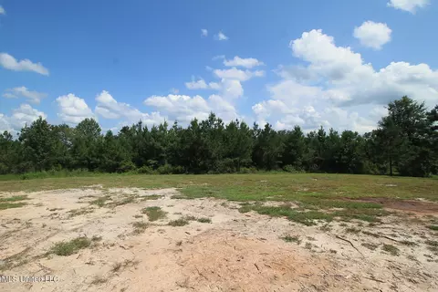 252 Sandford Ext Dr, Lucedale, MS 39452 photo 21