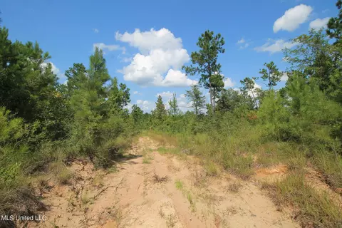 252 Sandford Ext Dr, Lucedale, MS 39452 photo 23