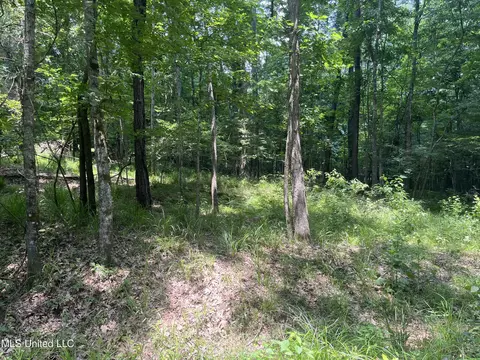 0 Robinson Springs Rd, Flora, MS 39071 photo 8