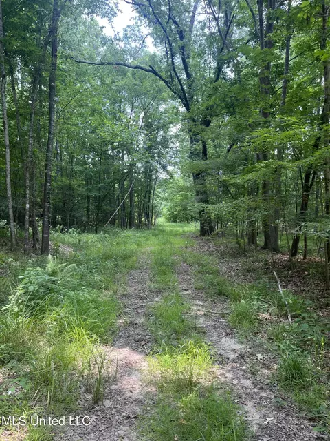 0 Robinson Springs Rd, Flora, MS 39071 photo 6