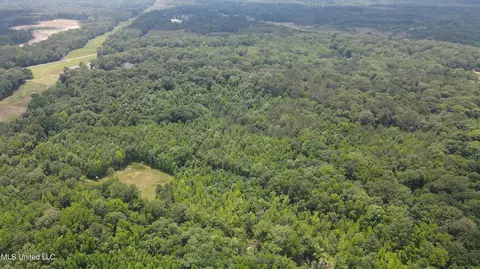 0 Robinson Springs Rd, Flora, MS 39071 photo 35