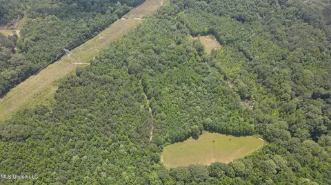 0 Robinson Springs Rd, Flora, MS 39071 photo 31