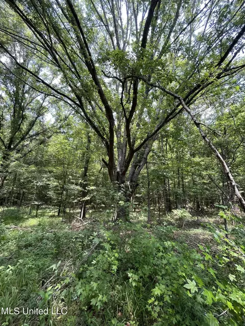 0 Robinson Springs Rd, Flora, MS 39071