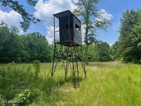 0 Robinson Springs Rd, Flora, MS 39071 photo 2