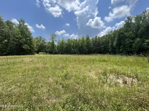 0 Robinson Springs Rd, Flora, MS 39071 photo 4